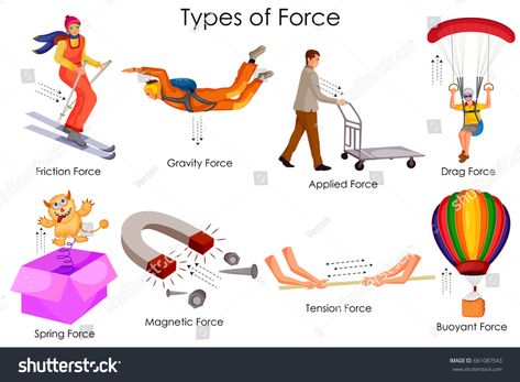 Education Chart of Physics for Different Types of Force Diagram. Vector illustrationPhysics#Types#Education#Chart Physics Related Images, Types Of Forces Physics, Types Of Motion Physics, Physics Diagram, Types Of Forces, Force Physics, Education Chart, Motion Physics, Science Chart