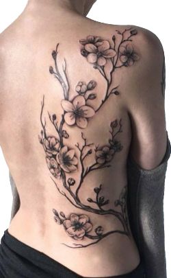 Lotusblume Tattoo, Floral Back Tattoos, Black Art Tattoo, Flower Wrist Tattoos, Kunst Tattoos, Vine Tattoos, Cat Tattoos, Inspiration Tattoos, Tiny Tattoo