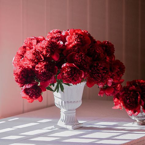 Red Flower Arrangements, Peony Arrangement, Faux Floral Arrangement, Red Peonies, Bright Florals, Red Rose Flower, Peony Flower, Last Call, Architectural Digest