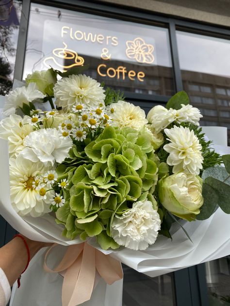 Bouquet Wedding Hydrangea, Green And White Hydrangea Wedding, Hydrangea And Tulip Bouquet, Green Hydrangea Arrangements, Hydrengas Bouquet Ideas, Hydrangea Bouquet Aesthetic, Hydrangea And Peony Bouquet, Cabbage Bouquet, Hydrangea Inspiration