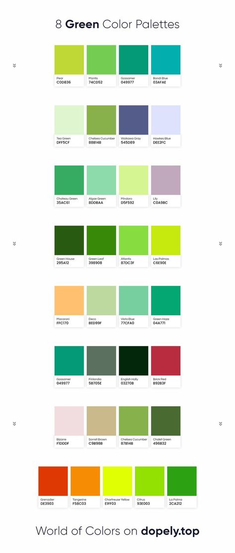 8 Green Color palettes Shamrock Green Color Palette, Complementary Colors For Green, Green Pairing Color, Complementary Colors To Green, Complimentary Colors For Green, Bright Green Colour Palette, Green Logo Color Palette, Green Pallete Colour Palettes, Vibrant Green Color Palette