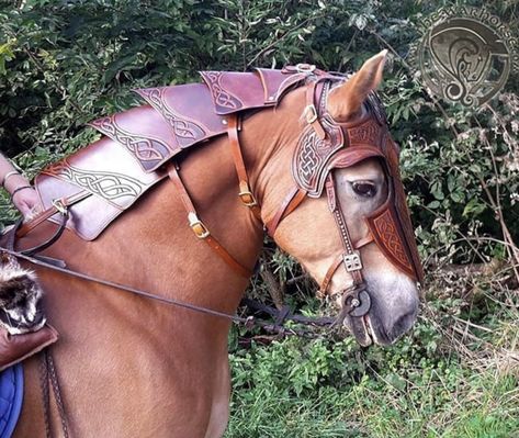 Medieval Jousting, Leather Horse Tack, Medieval Horse, Horse Harness, Horse Costumes, Horse Inspiration, Horse Armor, Horse Equipment, Horse Gear