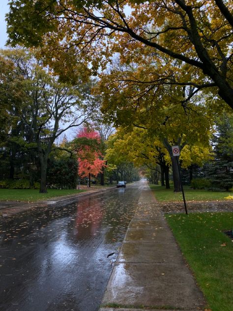 Rainy Neighborhood Aesthetic, Rainy Fall Aesthetic, Fall Neighborhood, Neighborhood Aesthetic, Cozy Aesthetics, Moody Autumn, Dark Victorian, Rain Aesthetic, Roses Book