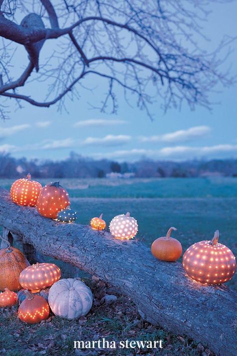 What awaits guests in the darkness? Pumpkin lanterns that delightfully brighten up an evening affair. Drill tiny holes into each one, then use strings of white lights to illuminate them. #weddingideas #wedding #marthstewartwedding #weddingplanning #weddingchecklist Easy Pumpkin Ideas, Pumpkin Wedding Decorations, Pumpkin Centerpieces Wedding, Diy Pumpkin Carving, Pumpkin Idea, Pumpkin Lanterns, Glittery Pumpkins, Fall Ball, Pumpkin Wedding