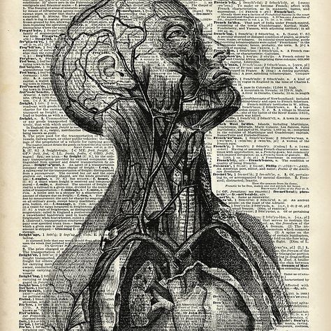 Medical Human Anatomy Illustration Over Old Book Page Human Anatomy Illustration, Vintage Medical Art, Dark Academia Posters, Anatomy Illustration, Medical Drawings, Medical Posters, Tree Drawings Pencil, Human Anatomy Drawing, Book Page Art