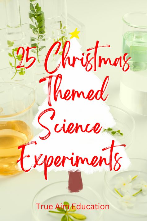 December Stem, Christmas Study, Wedding Napkin Folding, Christmas Science Activities, Christmas Science Experiments, Winter Science, Holiday Science, Christmas Units, Christmas Science