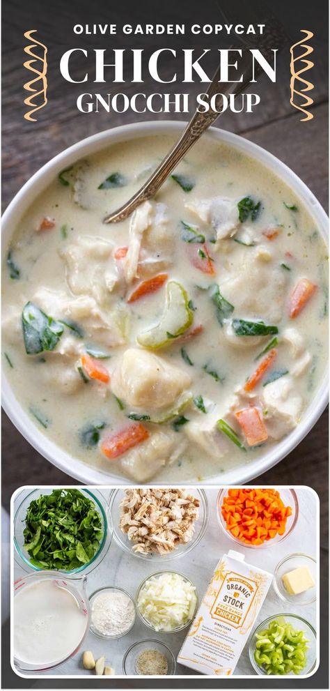 Olive Garden Dumpling Soup, Chicken Nooki Soup, Olive Garden Chicken Gnocchi Soup Vegan, Pioneer Woman Rotisserie Chicken Gnocchi, Olive Garden Gnocchi Recipes, Chicken Noke Soup, Olive Garden Chicken Gnocchi Soup Dairy Free, Olivegarden Chicken Gnocchi Soup, Healthier Chicken Gnocchi Soup