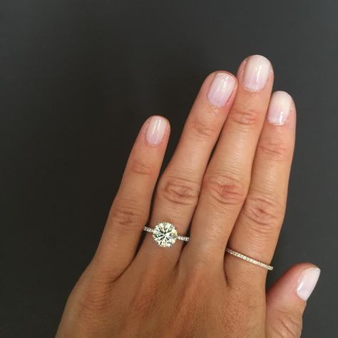 Round Brilliant Engagement Ring, Stephanie Gottlieb, Round Engagement, Cool Wedding Rings, Wedding Rings Round, Beautiful Wedding Rings, Round Engagement Rings, Wedding Rings Solitaire, Pave Engagement Ring