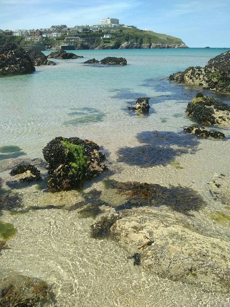 Towan Beach, Newquay, Cornwall 22nd June 2019 Cornwall Summer, Cornwall Beach, Dream Holidays, Cornwall Beaches, Newquay Cornwall, Uk Beaches, British Summer, Cornwall England, Scottish Islands