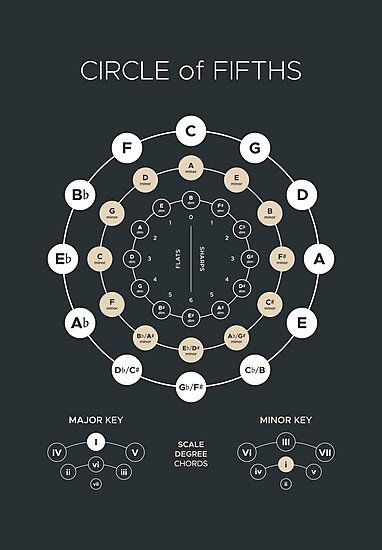 Circle of Fifths diagram for music theory, chord progressions and songwriting. • Millions of unique designs by independent artists. Find your thing.