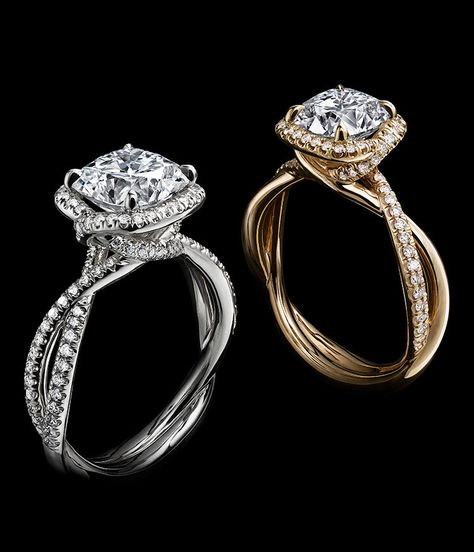 DY Lanai engagement rings, in platinum or 18K yellow gold with diamond center stones and pavé diamond bands, standing upright on a black background. Engagement Rings David Yurman, Crossover Band Engagement Ring, Solitaire Ring Design, Soliter Ring Design, Solitaire Engagement Ring With Band, David Yurman Engagement Ring, Rings Background, Solitaire Diamond Rings, Engagement Diamond Rings