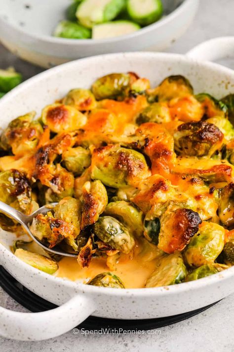 Everyone will love this impressive side dish of Brussels sprouts au gratin! Wholesome brussels sprouts are oven-baked to a sweet tenderness and covered in a cheesy sauce. Make this even more delish with crispy bacon, cheddar, gruyere, or another cheese blend. This keto-friendly, carb-free dish can also be prepared using cauliflower for a flavorful twist! #brusselsproutsaugratin #brusselssproutsaugratin #spendwithpennies #sidedish Brussels Sprouts Au Gratin, Brussel Sprouts Au Gratin, Baked Brussels Sprouts, Cheesy Brussels Sprouts, Baked Brussel Sprouts, Brussels Sprouts Gratin, Creamy Cheese Sauce, Au Gratin Recipes, Sprout Recipes