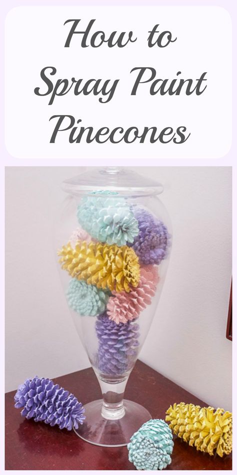 Pinecones are great to use as decor. This easy tutorial for how to spray paint pinecones will help you create a unique display for your home. Spray Painting Pine Cones Diy, Spray Painting Pine Cones, Pinecorn Crafts, How To Paint Pinecones, Spray Paint Pine Cones, Pinecones Wreaths, Painting Pinecones, Paint Pinecones, Pinecone Painting