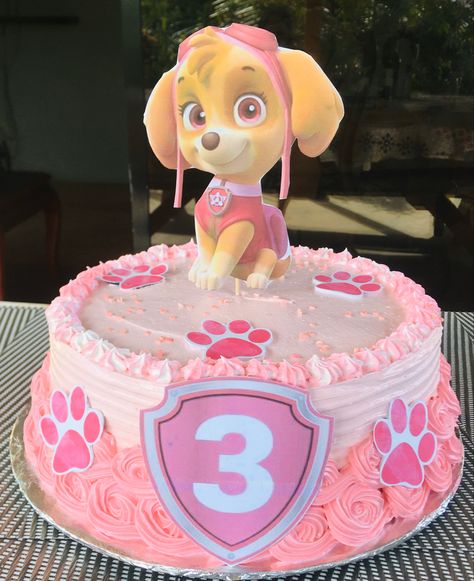 Pink Skye Paw Patrol Cake, Skye 3rd Birthday, Skye Birthday Cake Paw Patrol, Sky Patrol Cake, Sky Birthday Party Paw Patrol Cake, Paw Patrol Birthday Ideas Girl, Skye Paw Patrol Cake Diy, Paw Patrol Cake Girly Sky, Girly Paw Patrol Cake