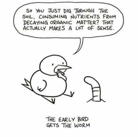 Bird Quotes Funny, Early Bird Quotes, Quotes Funny Humor, Early Bird Gets The Worm, Bird Quotes, Image Memes, Pocket Letters, Organic Matter, Early Bird