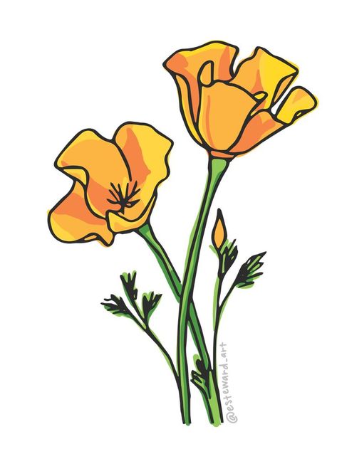 doodle of orange california poppies California Poppy Line Drawing, California Poppy Drawing, Poppies California, California Drawing, California Poppy Painting, Poppy Symbolism, Poppies Illustration, California Poppy Tattoo, Poppy Illustration