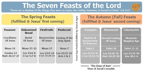 Overview of the feasts of the Lord Jewish Feasts, Jesus Kingdom, Feasts Of The Lord, Jesus Second Coming, Hebrew Words, Jesus Resurrection, Bible Prophecy, Knowledge And Wisdom, Bible Knowledge