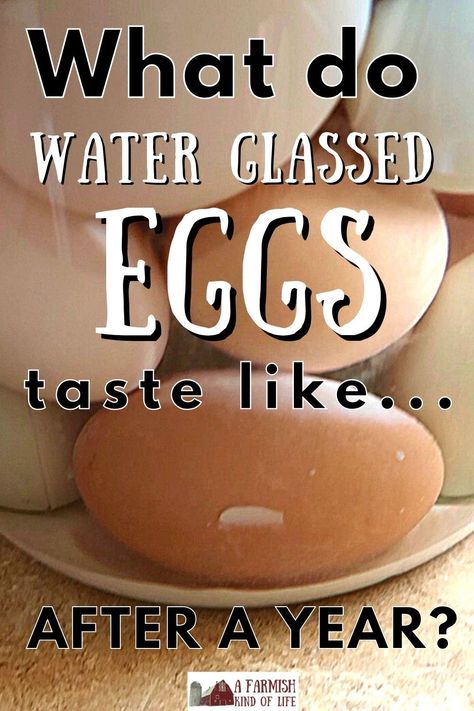 Preserving Farm Fresh Eggs, Egg Glassing Recipe, Egg Water Glassing, Ways To Preserve Eggs, How To Water Glass Fresh Eggs, Glassing Eggs Recipe, Storing Eggs Long Term, How To Preserve Fresh Eggs, How To Store Eggs Long Term