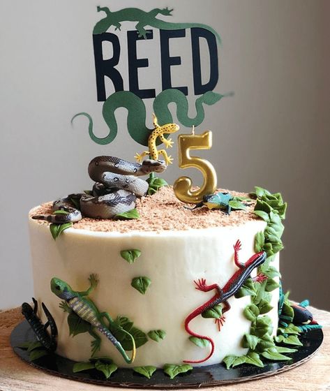 Lizard Cake Design Images (Lizard Birthday Cake Ideas) Lizard Birthday Party Ideas, Reptile Theme Cake, Reptile Themed Birthday Cake, Reptile Party Cake, Lizard Birthday Cake Ideas, Lizard Themed Birthday Party, Reptiles Birthday Party Ideas, Lizard Cakes For Kids, Lizard Party Ideas For Kids