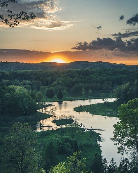 River In Forest, Forest At Sunset, Manistee National Forest, City Of Gold, Natural Waterfalls, Forest Sunset, River Forest, Fantasy Tattoos, Forest View