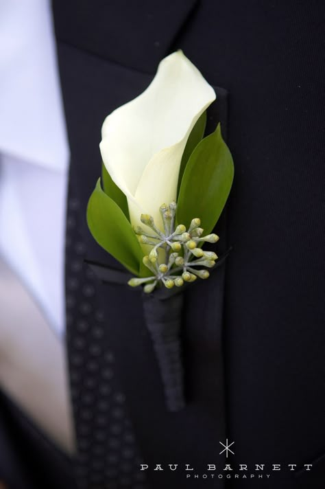 the groom's matching single white calla lily with a bit of green Wedding Bouquets Bride Calla Lily, Boutonniere Wedding Calla Lily, Calla Lily Buttoniere, Cala Lilly Boutineer, Mini Calla Lily Boutonniere, Small Calla Lily Bouquet, White Calla Lily Boutonniere, Mini Calla Lily Bouquet, Calla Lillies Bouquet Wedding