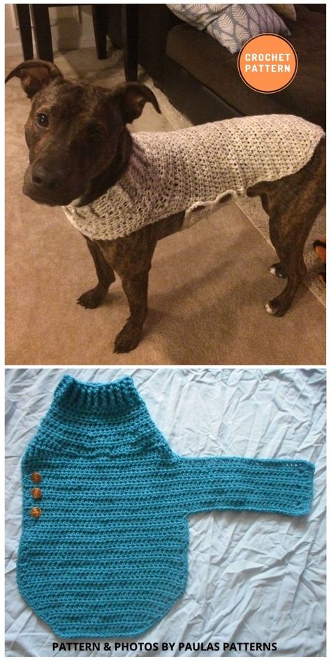 Dog Sweater Crochet Pattern Medium, Crochet Dog Sweater For Large Dogs, Beginner Crochet Dog Sweater, Free Crochet Dog Coat Pattern, Xxl Dog Sweater Crochet Pattern, Crochet Dog Cape Free Pattern, Crochet Pet Sweaters Dog Coats, Quick Crochet Dog Sweater, Sweater For Cat Crochet