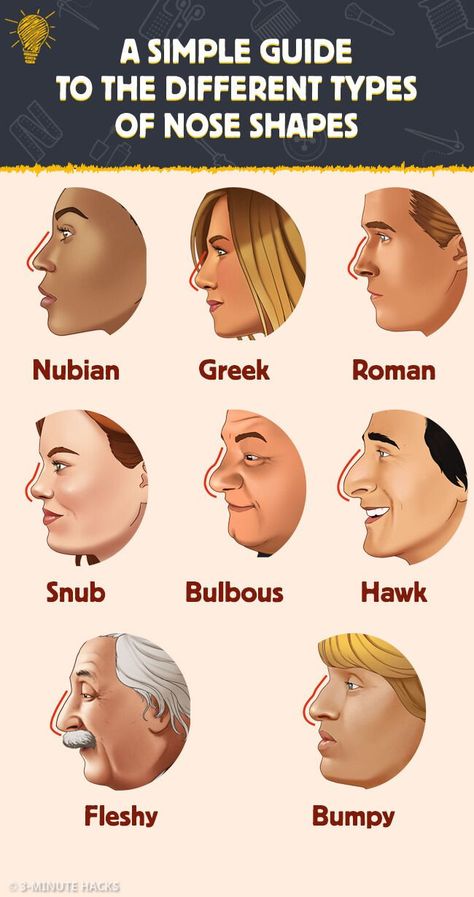 Different Type Of Noses, How To Draw Different Types Of Noses, Facial Features Of Different Races, Nose Types Chart, Different Kinds Of Noses, Nubian Nose Shape, Eyes Different Shapes, Eye Types Shapes, Nose Types Shape