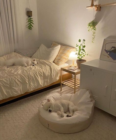 Aesthetic Small Bedroom Ideas Minimalist, Bedroom Ideas Soft Aesthetic, Big Room Ideas Aesthetic Minimalist, Carpeted Floors Bedroom, Soft Minimalist Aesthetic Bedroom, Cute White Furniture, Uc Dorm Room Ideas, Bedroom Soft Aesthetic, Soft Minimalist Bedroom