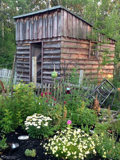 Old Rustic Gardening Shed Log Cabins, Rustic Sheds, Rustic Garden Shed, Rustic Gardening, Gardening Shed, Room Makeovers, She Sheds, Garden Seating, Backyard Projects