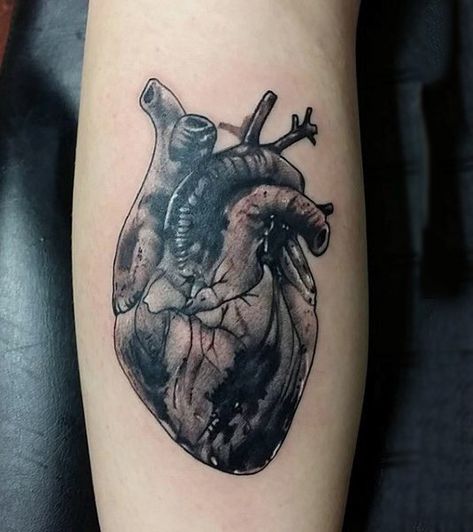 90 Anatomical Heart Tattoo Designs For Men - Blood Pumping Ink Real Heart Tattoos, Realistic Heart Tattoo, Realistic Heart, Woodcut Tattoo, Anatomical Heart Tattoo, Engraving Tattoo, Epic Tattoo, Skeleton Hand Tattoo, Heart Tattoo Designs