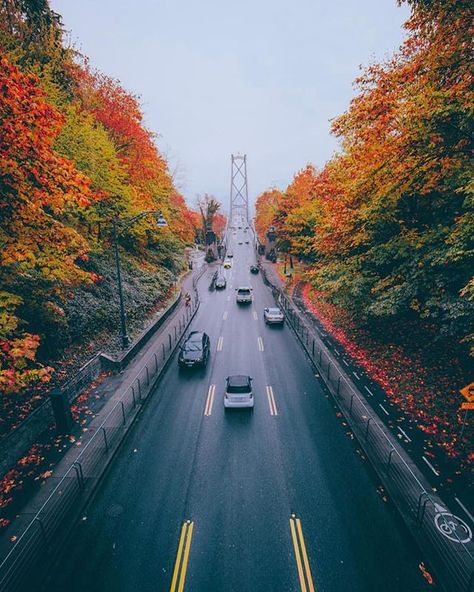 Autumn colours surrounding Lions Gate Bridge : @staysinspired Lion Gate, Lions Gate Bridge, Power Of Imagination, Lions Gate, Autumn Colours, Vancouver Canada, Vancouver Bc, Sunshine Coast, Travel And Tourism