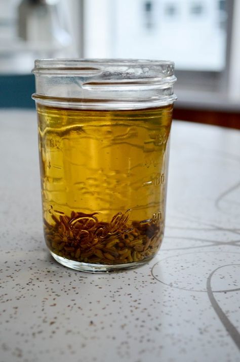 DIY Homemade Anise Extract - In Jennie's Kitchen Anise Extract Recipes, Anise Extract, Diy Extracts, Anise Oil, Vanilla Extract Recipe, Italian Cookie, Canning Food, Homemade Vanilla Extract, Anise Seed