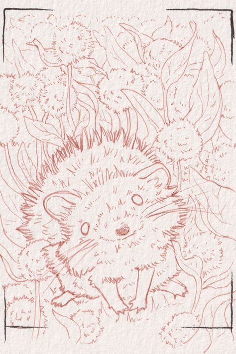 Hedgehog drawing Hedgehog Drawing Reference, Hedgehog Outline Tattoo, Hedgehog Line Drawing, Hedgehog Outline, Hedgehog Doodle How To Draw, I Love Drawing, Love Drawing, Cute Hedgehog, Ink Drawings