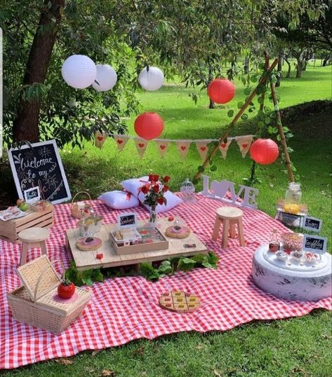 Birthday Outfits Ideas, Easy Baby Shower, Picnic Date Food, Picnic Birthday Party, Most Paused Movie Scenes, Picnic Inspiration, Spring Love, Picnic Decorations, Cute Date Ideas