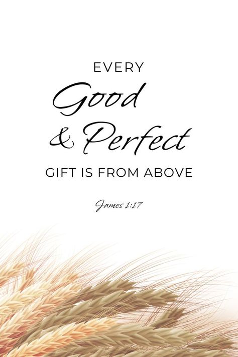 Every Perfect Gift Is From Above, James 1 17 Scriptures, Every Good And Perfect Gift Is From Above, 2024 Bible Verse, James 1 17 Wallpaper, James 1:6, Every Good And Perfect Gift Verse, James 1:17, Baptism Bible Verses