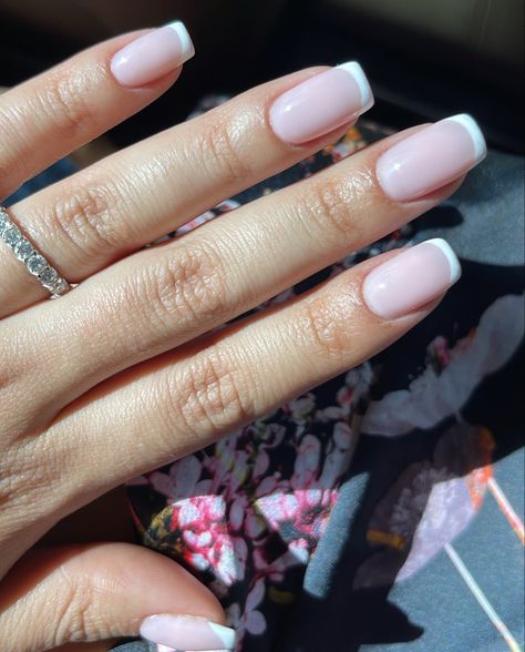 French Nails Short Classy Square, Sns French Nails Square, Short Clean French Nails, Round Square Short Nails, Square Nail Shape Short, French With Square Nails, Clean Short Acrylic Nails, Clean French Tip Nails Square, Short Squoval Nails French Tip