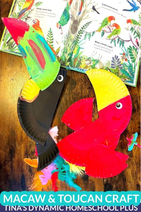 Wildlife in the Amazon Rainforest – Create Fun Macaw and Toucan Crafts Toucan Crafts Preschool, Toucan Paper Plate Craft, Amazon Rainforest Crafts For Kids, Amazon Rainforest Activities, Amazon Rainforest Crafts, Toucan Art For Kids, Rain Forest Crafts, Parrot Craft Preschool, Rainforest Animals Crafts