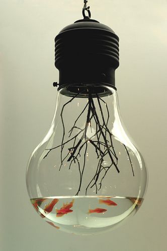 Edison          15 X 15 X 30 (inch)          Branch, Goldfish, Glass, Steel. by Function2.com, via Flickr Light Bulb Fish, Diy Light Bulb, Modern Metropolis, Cool Fish, Aquarium Design, Fish Bowl, Diy Lighting, Goldfish, Creative Inspiration