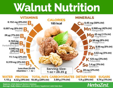 The widely popular English #walnut is rich in #Omega-3 polyunsaturated fats, which are necessary for brain function and cell growth, and it also provides adequate amounts of #protein and dietary fiber. #Herbazest #nutrition #superfoods Walnut Nutrition Facts, Walnut Nutrition, Polyunsaturated Fats, Gym Nutrition, English Walnut, Sport Nutrition, Healthy Fruit, Cell Growth, Nutrition Education