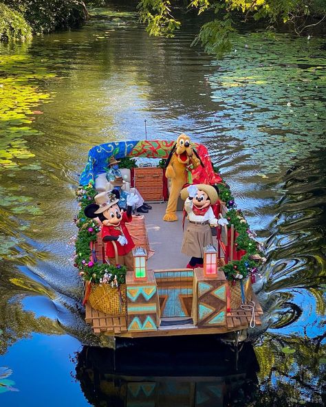 Walt Disney Paris, Disney S, Animal Kingdom, Walt Disney World, Theme Park, Christmas Time, Walt Disney, Disney World, Holidays