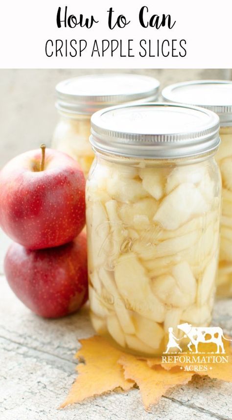 How to Can Apple Slices | Crispy & Sweet - Reformation Acres | Recipe | Canning recipes, Canned apples, Canning apples Canning Guide, Canning Apples, Canning Fruit, Canning Food Preservation, Canned Food Storage, Canning Tips, Canned Apples, Crisp Apple, Canned Fruit