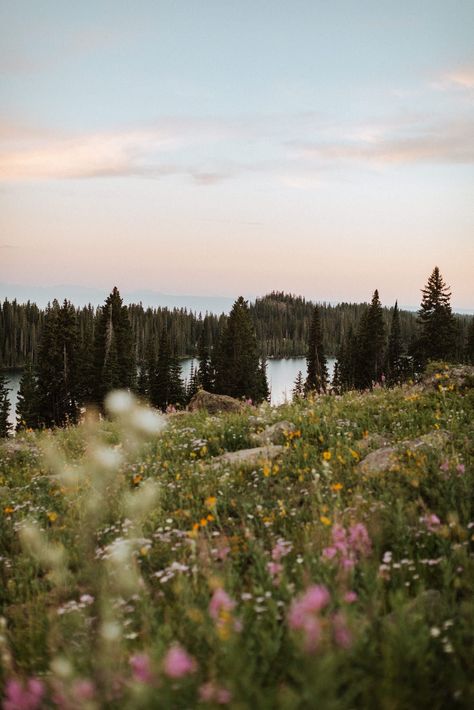 Colorado Aesthetic, Breakup Messages, Colorado Wildflowers, Park Aesthetic, Where To Elope, Colorado National Monument, Grand Junction Colorado, City Flowers, Colorado Summer