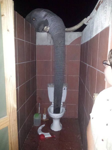 Strange Places, An Elephant, Funny Pins, Animal Memes, Funny Laugh, Mood Pics, Funny Photos, Funny Images, Dumb And Dumber