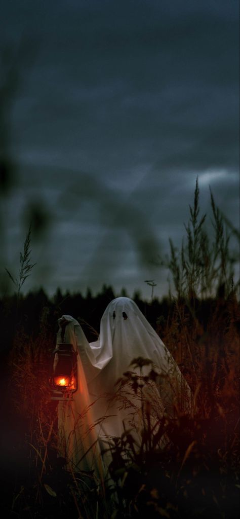 Background For Halloween Pictures, Halloween Aesthetic Spooky Wallpaper, Halloween Time Wallpaper, Spooky Fall Aesthetic Dark, Halloweencore Wallpaper, Halloween Nature Wallpaper, Gloomy Halloween Aesthetic, Phone Wallpaper Halloween Aesthetic, Horror Fall Aesthetic