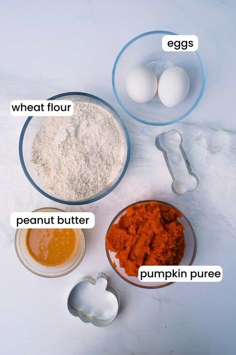 These homemade Halloween pumpkin dog treats are easy to make and made with all natural ingredients. Include your pup in the Halloween fun with these spooky dog treats for Halloween!rn Peanut Butter Pumpkin Dog Treats, Dog Treats Homemade Pumpkin, Dog Meals, Halloween Dog Treats, Dog Cookie Recipes, Treats For Halloween, Easy Dog Treat Recipes, Ball Recipes, Dog Biscuit Recipes