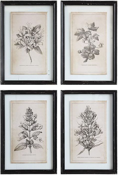 Creative Co-Op Wood Framed Wall Décor with Floral Images (Set of 4 Designs) Framed Floral Prints, Botanical Wall Decor, Floral Image, Floral Wall Decor, Framed Wall Art Sets, Antique Inspiration, Nature Wall, Frame Wall Decor, Nature Wall Art