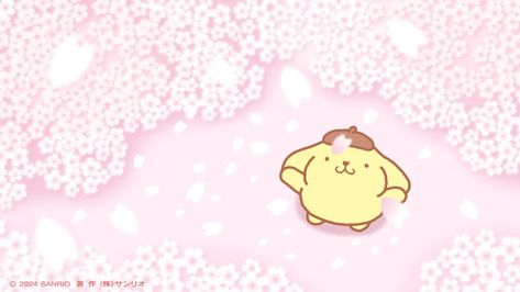 Cute Pompompurin, Pompompurin Wallpaper, Sakura Wallpaper, Hello Kitty Themes, Cute Laptop Wallpaper, Hello Kitty My Melody, Canva Design, Laptop Wallpaper, Computer Wallpaper