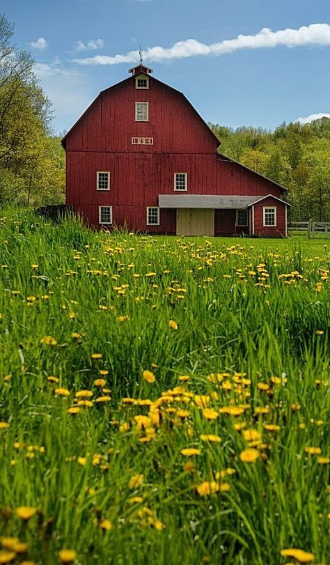 Farm Scenery, Farm Scenes, Farm Pictures, Barn Pictures, Country Barns, Farm Photography, Barns Sheds, Beautiful Farm, Farm Photo