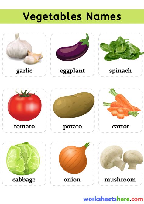 Vegetables Names With Pictures, Ash Gourd, Vegetable Pictures, Names List, Raw Mango, Bitter Gourd, Collard Greens, Red Cabbage, Spring Onion