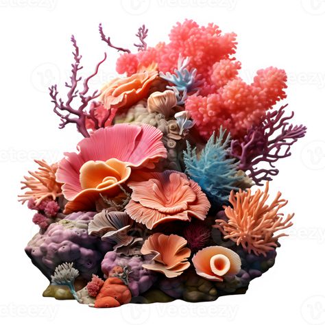 coral reef isolated on transparent background ,sea coral reef cut out ,generative ai Coral Reef Craft, Coral Drawing, Coral Reef Art, Background Sea, Coral Draw, Coral Sculpture, Coral Background, Coral Art, Beautiful Sea Creatures